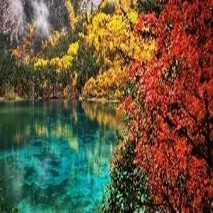 [대구출발] 상해/성도/구채구 5박 6일 #모니구풍경구 #무후사금리거리 #고속열차이동