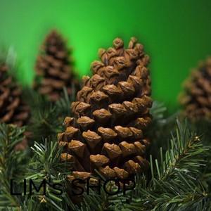 35인치 5인치 천연 대형 솔방울 크리스마스 장 큰 겨울  손목띠 다색