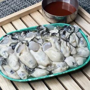 당일조업 통영 생굴 2kg