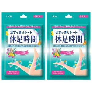 휴족시간 쿨링시트 6개입 2개