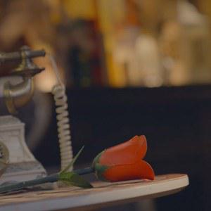 스테이지 매직 트릭 로즈 카드 눈속임 마법지팡이 요술봉 장기자랑 데이 사는 매직마술 패드