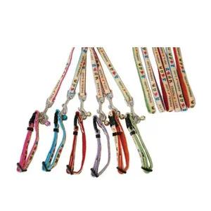 1p 펫컴퍼니 소 색상랜덤 조이 10mm 목줄셋트 강아지산책줄