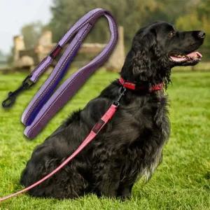 반려견손잡이리드줄 강아지 야간반사 리드줄 2.5cm 퍼플 L 1P 산책줄 리쉬 핸들리드줄