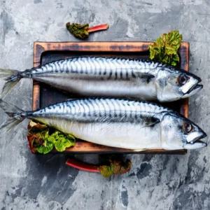 유쎌스토어 생물 급냉 통고등어 3미 (2KG내외) X 2팩 동해안고등어