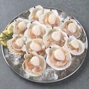 냉동 반가리비 조개구이 팩당5-6미 180g 3팩