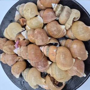 급냉 활골뱅이 800g x 2팩