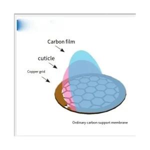동판 구리판 50개 50 to 400 Mesh Domestic Copper Common Carbon Film Transmission Electron Microscope
