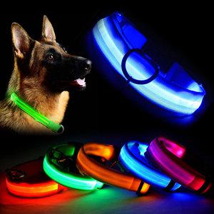 LED 애견 목줄 발광 야간 안전 라이트 반려견 산책줄 목줄등 팬던트 목줄등