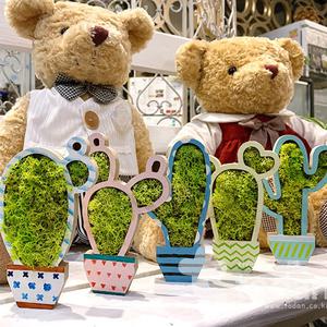 [오피스스쿨] 선인장 모스 화분 만들기 5인세트