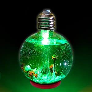 (빅사이언스)LED 화학정원 만들기 (5인용) 전구형 260ml