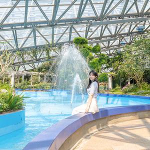 [제주] 여미지식물원 입장권+혜택(낙타트래킹,족욕,조안베어 체험)/제주도식물원/수목원/중문관광단지