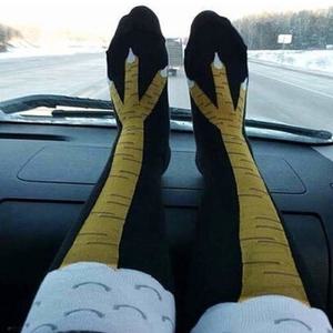 쓸데없는 쓸모없는 선물 병맛 무쓸모 엽기 연말 파티 마니또 친구 웃긴 웃기는 재밌는 신박한 선물