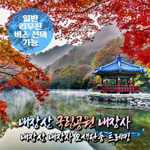 [전북] 내장산 국립공원 내장사/우화정 단풍트레킹 당일여행(일반/리무진버스) /가을단풍여행/ 서울경기出