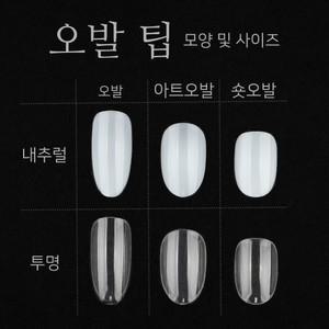 네일 리필 팁 (50입) / 오발 오벌 아트 숏 오발 패디 리필팁 인조 손톱