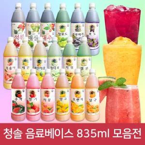 청솔 과일원액 음료베이스 835ml 에이드 스무디 / 수박 딸기 자몽 오렌지 망고 블루베리 복숭아 파인애플