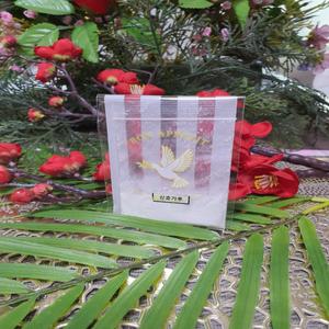 달팽이 칼슘제 산호가루, 패각 영양제 산호분말, 달팽이 키우기 칼슘