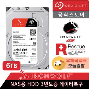 씨게이트 IronWolf 6TB ST6000VN006 NAS 하드디스크 +오늘출발+우체국택배+