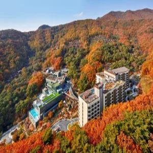 [충북] 레스트리 & 포레스트 리솜(충북, 제천)