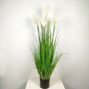 팜파스그라스 갈대 조화 화이트  120cm  인조갈대
