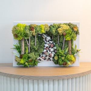 스칸디아모스 공기정화식물 액자 숲길 set 30cm 인테리어 천연 이끼 벽장식 소품 플랜테리어 벽걸이 현관