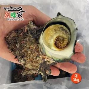 [엔젤쿡][별미가] 하얀돌 해녀가 직접 채취한 자연산 통영 뿔소라 대 3kg(21-24미)