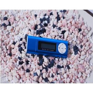 CHAMELEON Direct 4G 2G USB겸용 MP3 삼성메모리 MP4 무통증 이어폰 FM 충전기 녹음 USB일체형 건전지NO 목걸이이어폰 연장선 Y잭 커플잭