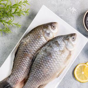 깨끗하게 손질한 자연산 붕어 1kg 매운탕소스 추가구성 민물고기  냉동 국산