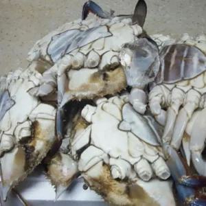 국내산 연평도 급냉 알배기 몽당 암꽃게 중 1KG