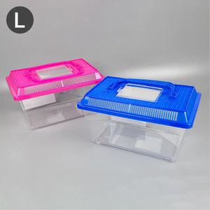 아이비스 7000 곤충채집통(L SIZE) 11663