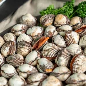 제철 새꼬막 여수 벌교 꼬막 2kg 대 /1kg당(85미 내외)