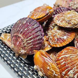 통영 홍가리비 3kg 60미 내외 당일작업 조개구이 제철 가리비