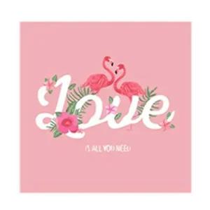 [셀러허브 패션][JHQS8IPN_4B]DIY그리기 명화 러브 플라밍고 25X25