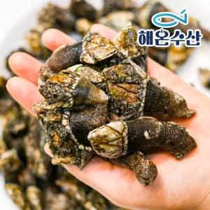 [해온수산] 자연산 자숙 거북손 70~80미내외 1kg