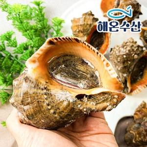 [해온수산] 자연산 참소라 5미내외 1kg