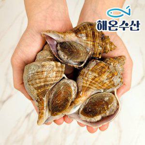[해온수산] 자연산 삐뚤이소라 8미내외 1kg