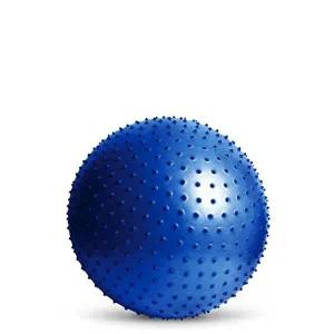 짐볼 65cm 블루 요가 스트레칭 맛사지공 임산부-WFHJSF7