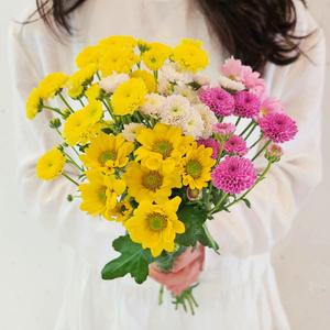 [꽃같은하루] 소국 한다발 생화 꽃다발 꽃 주문 택배 배달 싼곳