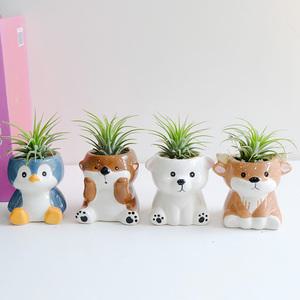 벌레 걱정 없는 이오난사 + 귀여운 동물 미니 화분 4종세트 공기정화식물 승진 개업 집들이