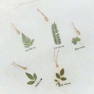 (TD) 나뭇잎 압화 책갈피 만들기-5인세트 (WFI39J1)