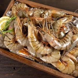 [섬마을] 국내산 자연산 대하 200g x 8팩 / 1.6kg