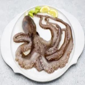 냉동 활낙지 850g (3미 300-500/4미 200-300/6미 150-200/8미 100-150) X 6