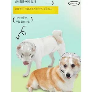 커멘 강아지페이스커버 멍템 양봉모자 넥카라 버그가드 투명 산책망 강아지생일파티용품 해충방지