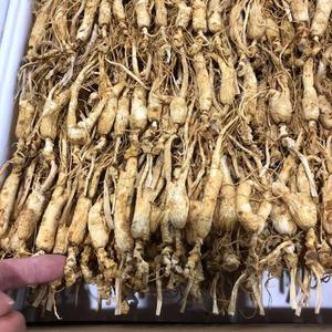 10-12근 임하삼 건삼 말린 장뇌삼 산양삼 마른산삼 1kg