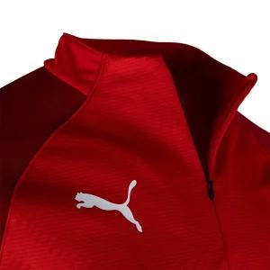푸마 남자 반집업 긴팔 트레이닝 런닝 탑 레드 운동 후드