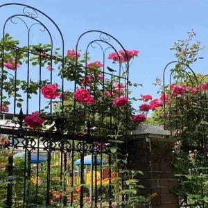 지지대 장미울타리 철제 스탠드 넝쿨