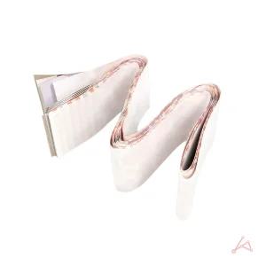 노런 왕파리끈끈이