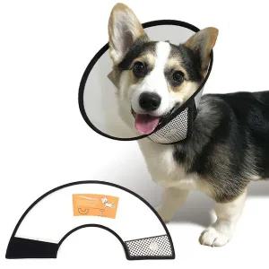 강아지 목보호대 6호 넥카라 깔대기 핥기방지 애견 고양이목보호