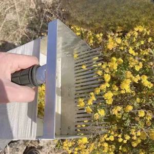 꽃 수확기 국화 수동 뜰채형 채집기 피치 바구니 도구 찻잎