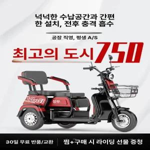 더패스터 세발오토바이 삼륜 스쿠터 전동스쿠터