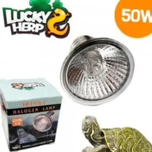 도마뱀할로겐 거북이 도마뱀 UVB 할로겐램프 50W 파충류 조명 전구